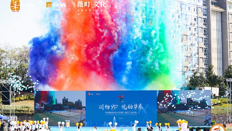 影视三维建模软件：揭秘厂家直销背后的技术奥秘